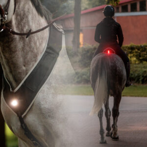 "Horselight" Set 1 - VZ+Sattelhusse-inkl. Leuchten
